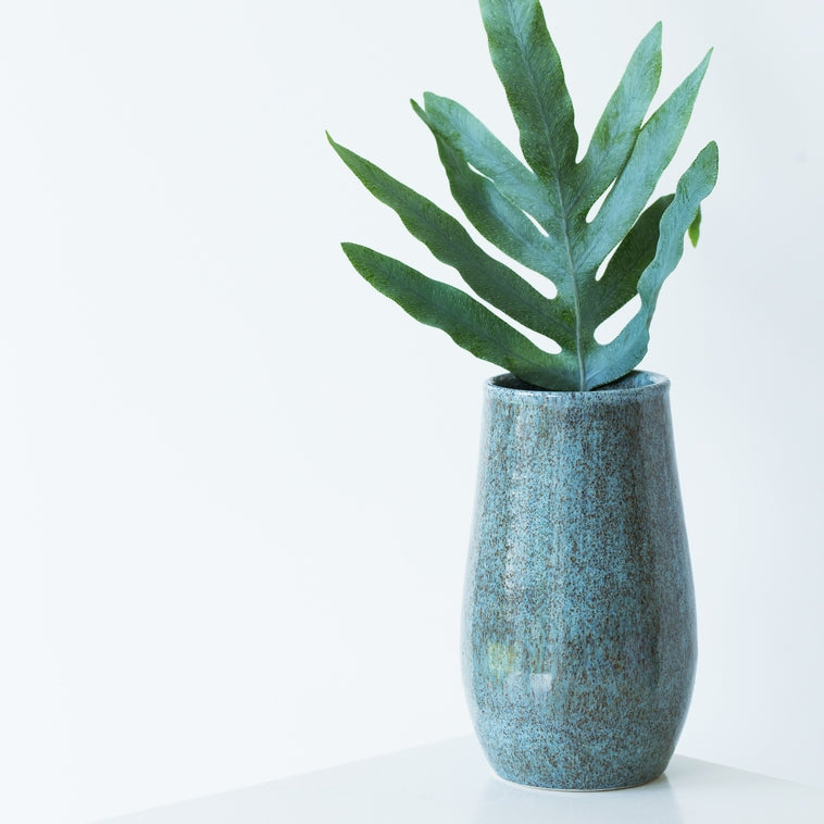 Bild für Herbstblaubraun