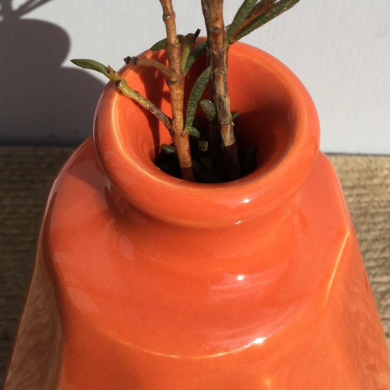 Bild für Karottenrot