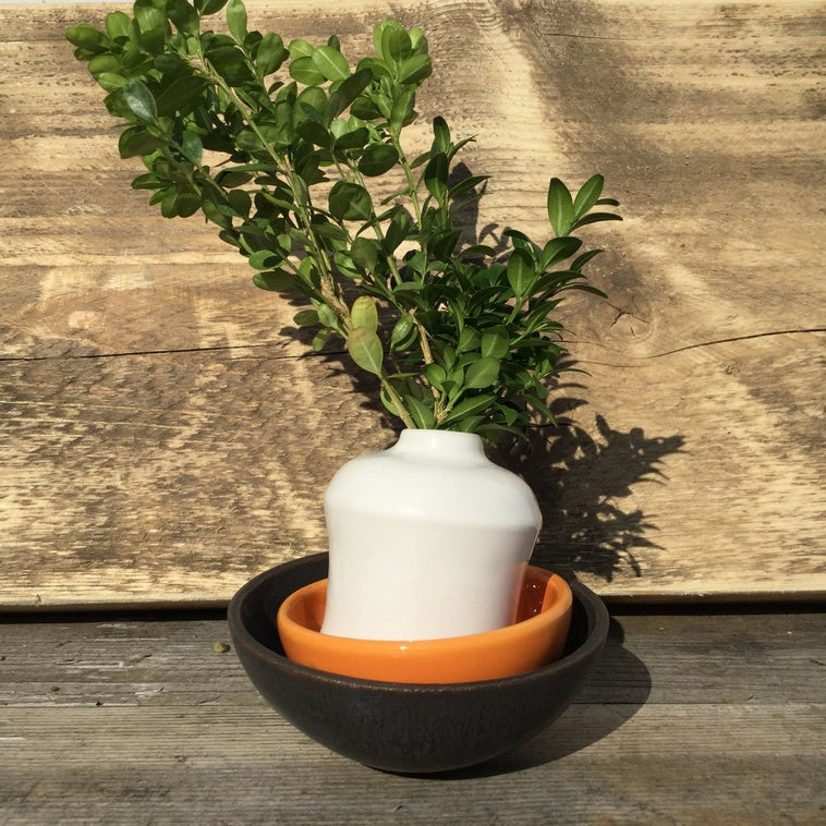 Bild für Kürbisorange