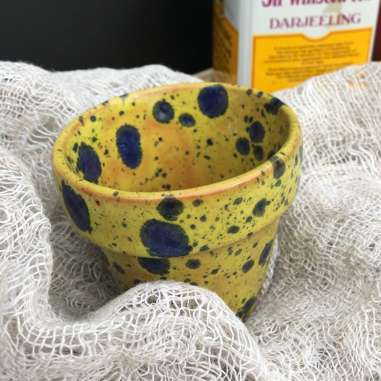 Bild für Stiefmütterchen