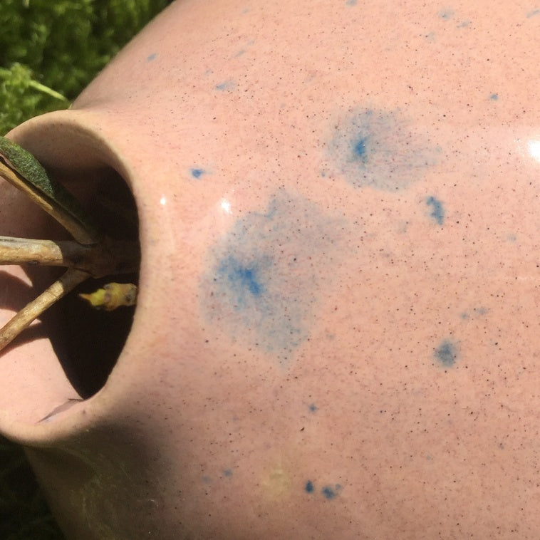 Bild für Mandelblüte