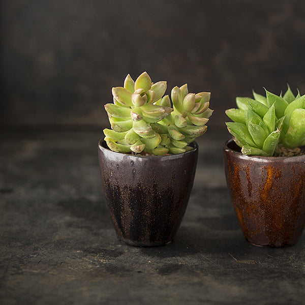 Bild für Kupfergold