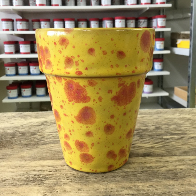 Bild für Sommeraster