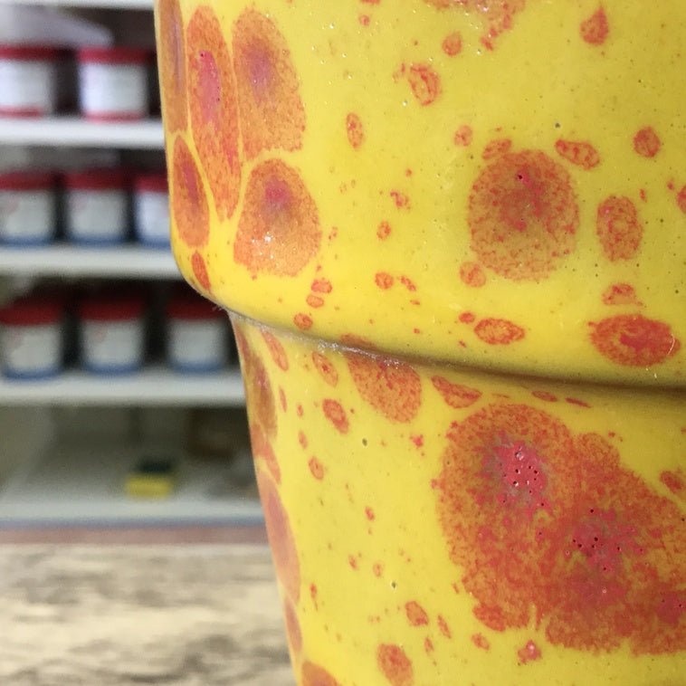 Bild für Sommeraster